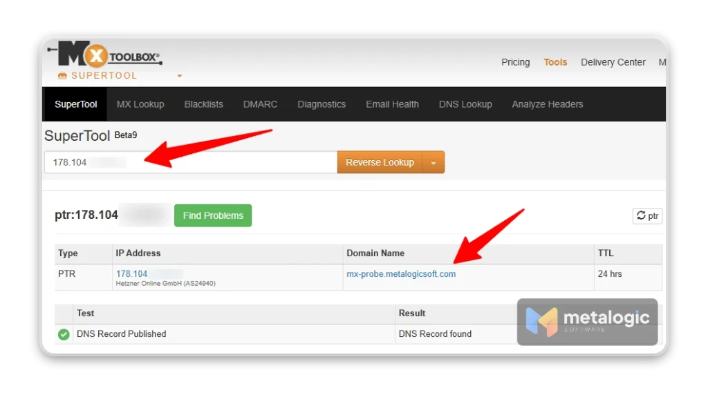 Test Reverse DNS Lookup
