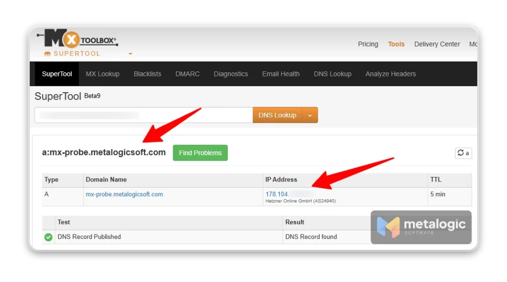 Test DNS Lookup
