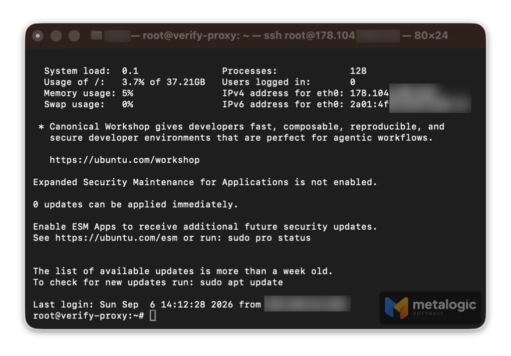 How to build your own SOCKS5 proxy and verify email lists through it